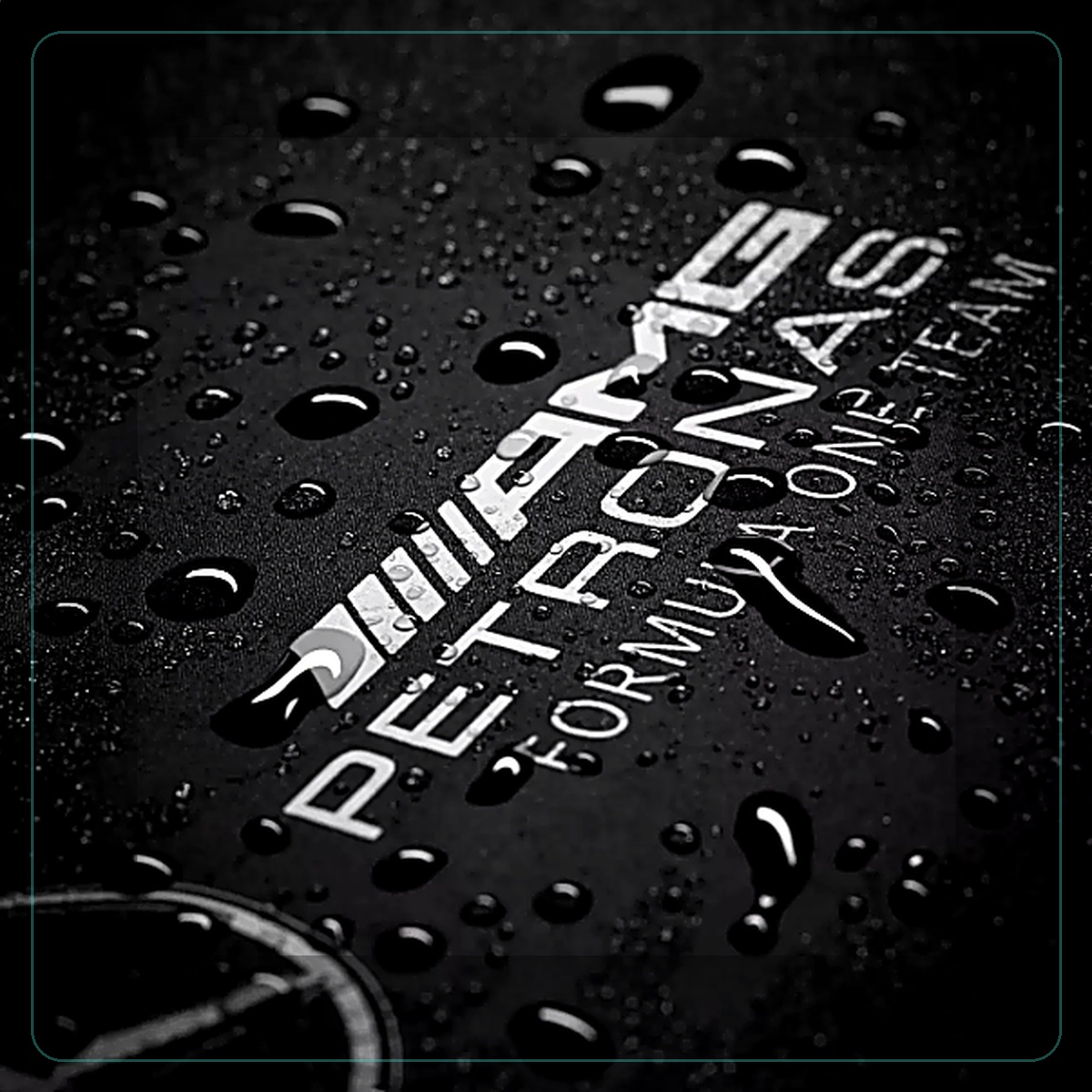 Custom logo two-fold automatic umbrella - Logo printing detail