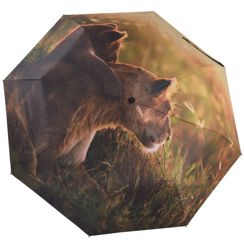 Brown bear full-canopy digital print automatic folding umbrella