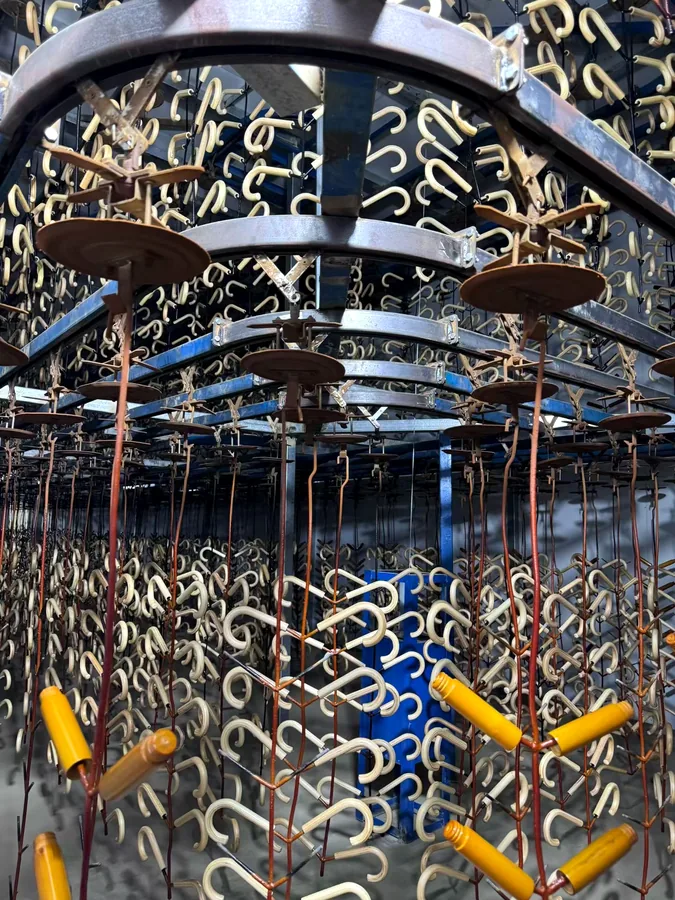 Wooden umbrella handles hanging on a painting and drying production line